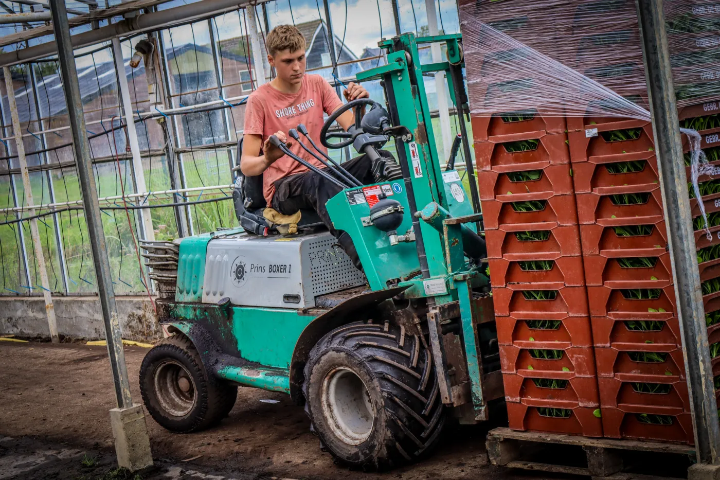 Pallet met bakken groenteplanten wordt geladen voor bezorging