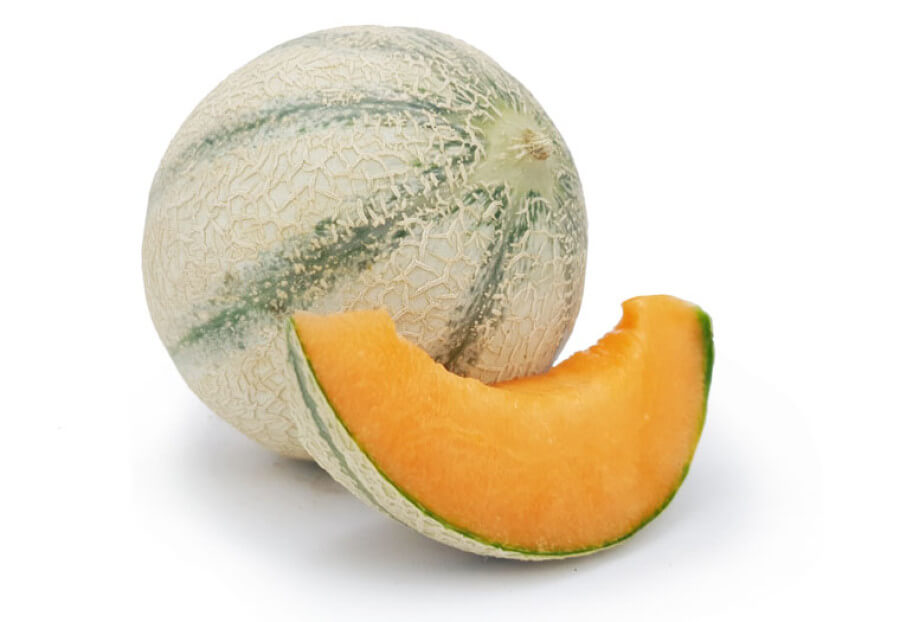 Meloen cantaloupe (geënt)