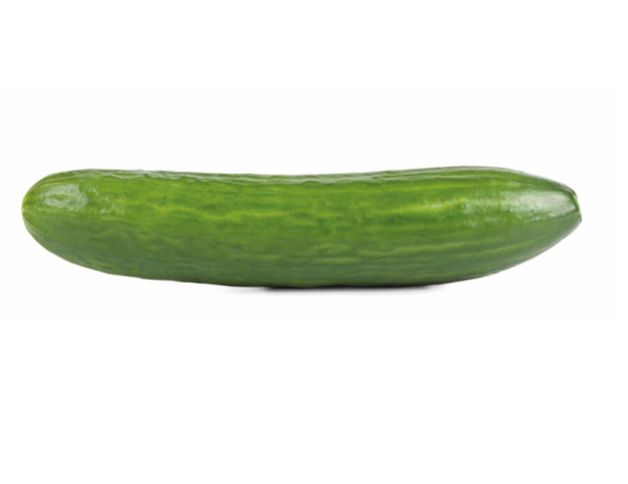 Komkommer lang 40-45 cm (geënt)
