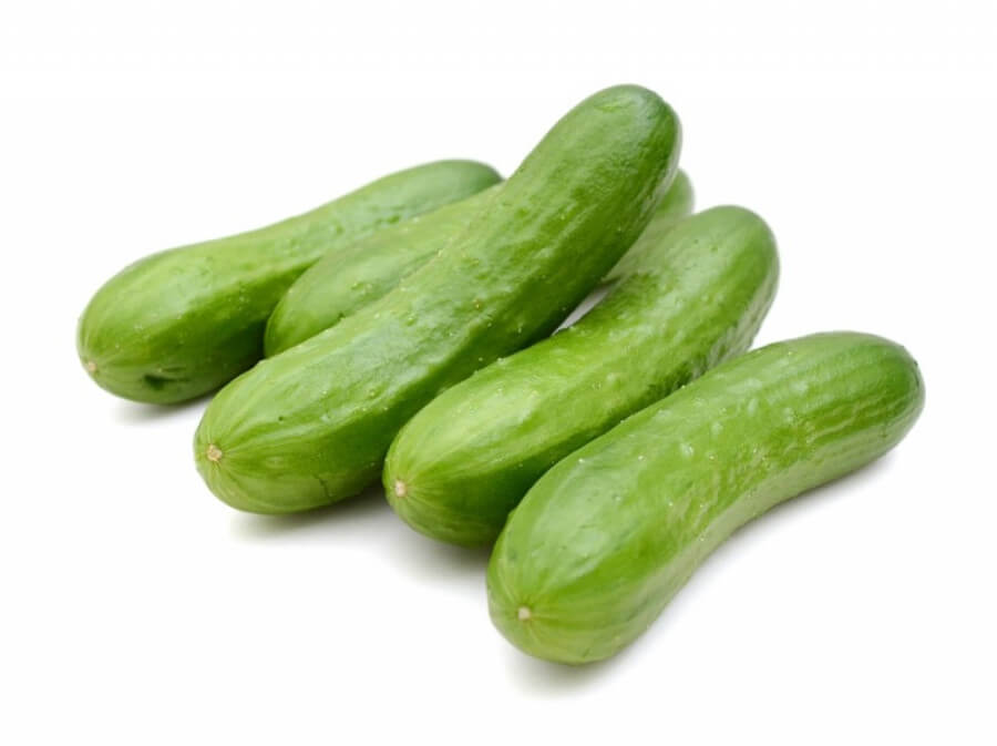 Komkommer snack 10-12 cm geënt (3x stok + etiket)