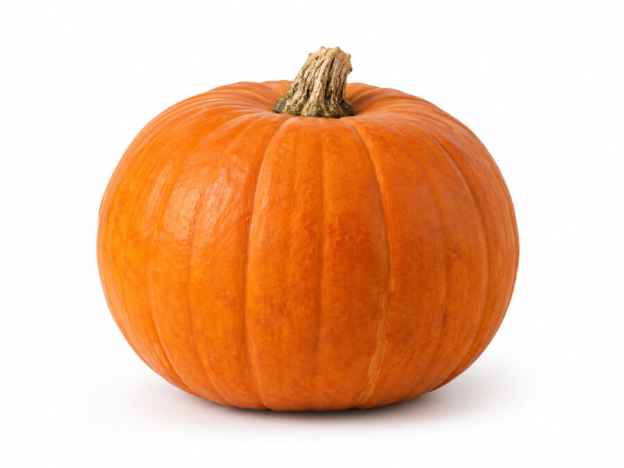 Pompoen eetbaar oranje