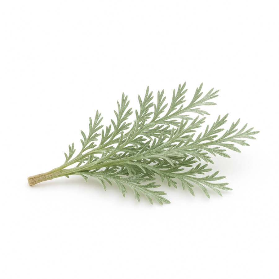Colaplant