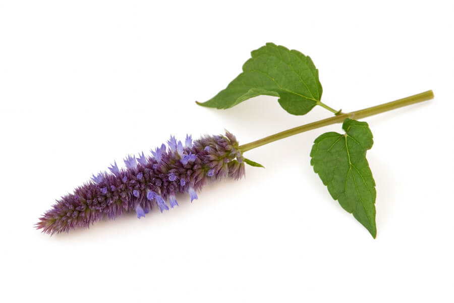 Dropplant