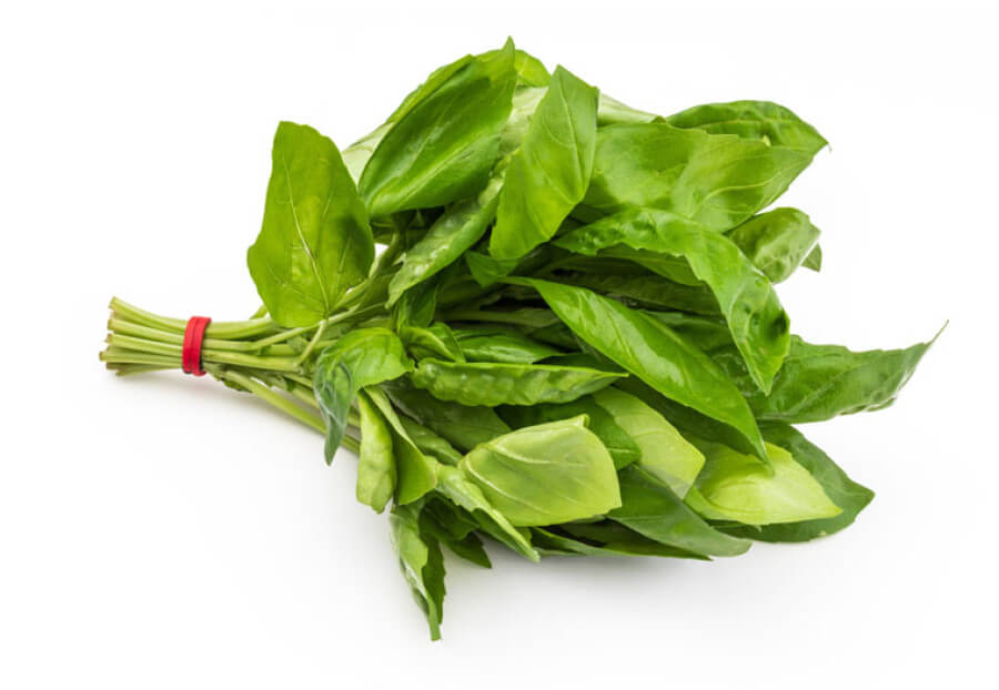 Groene basilicum (zaai)