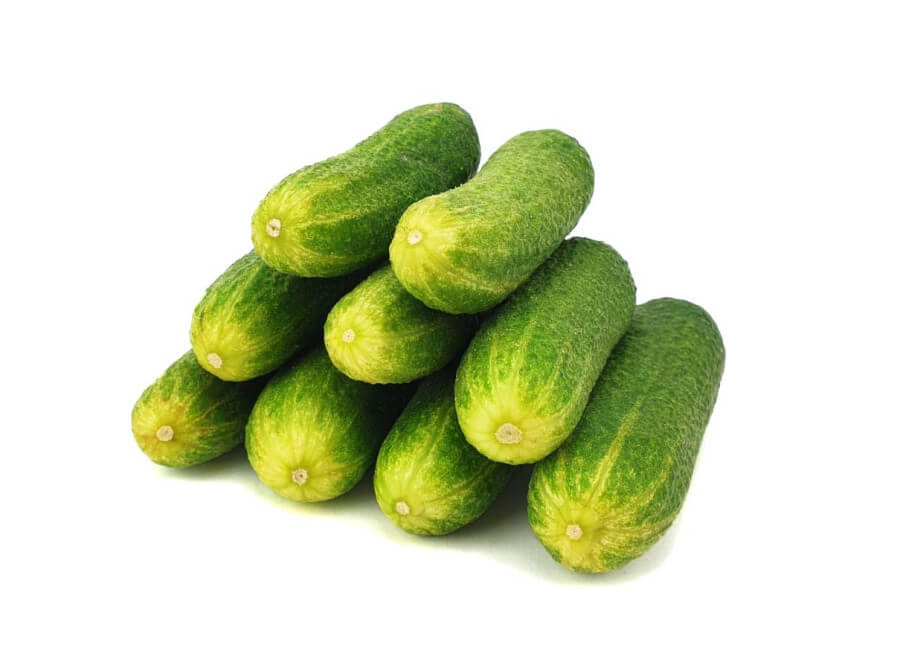Augurk (geënt)