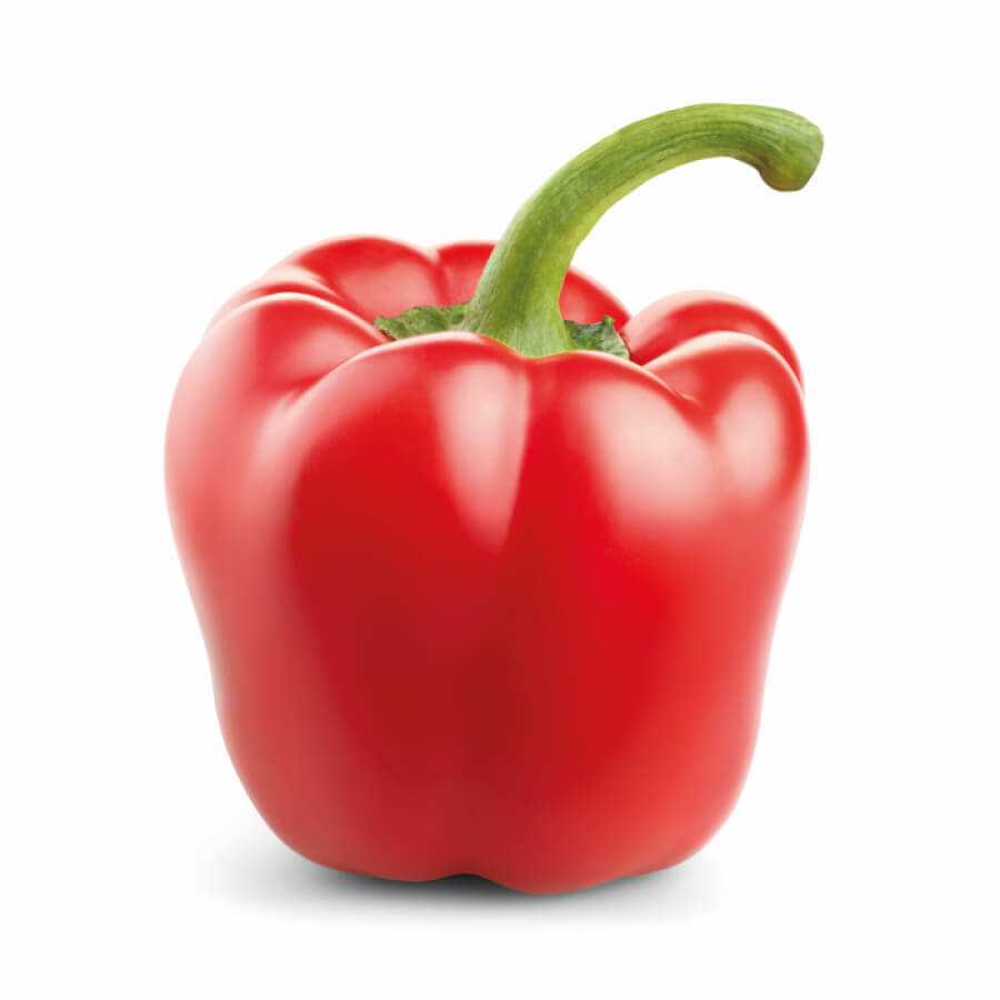 Paprika rood (geënt)