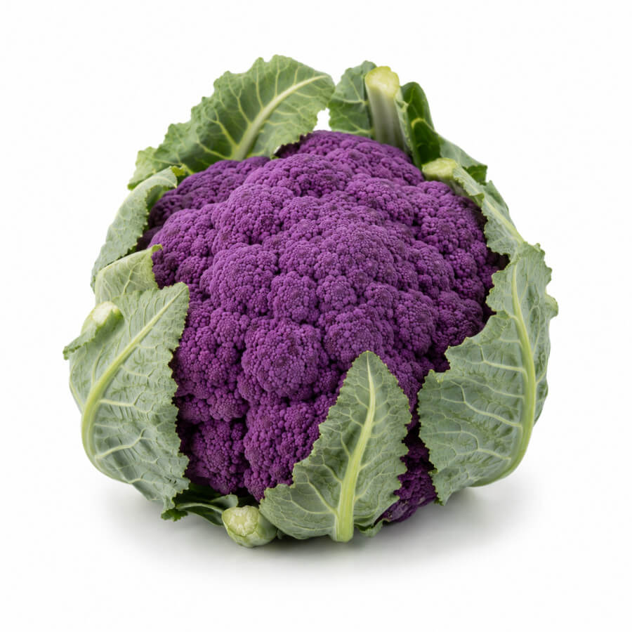 Paarse bloemkool