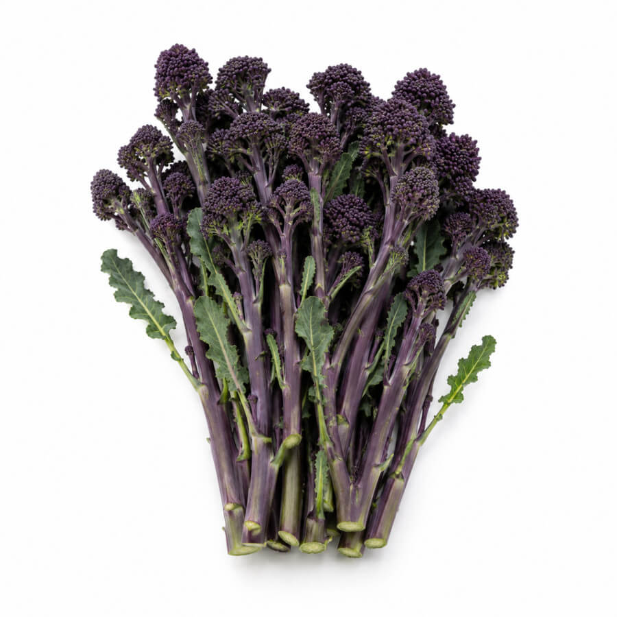Paarse broccoli
