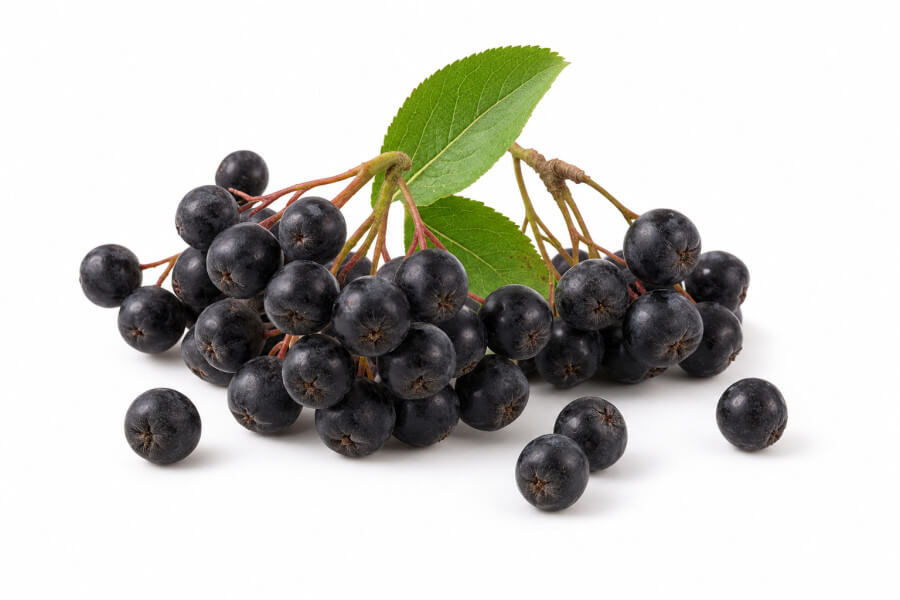 Appel bes (Nero)