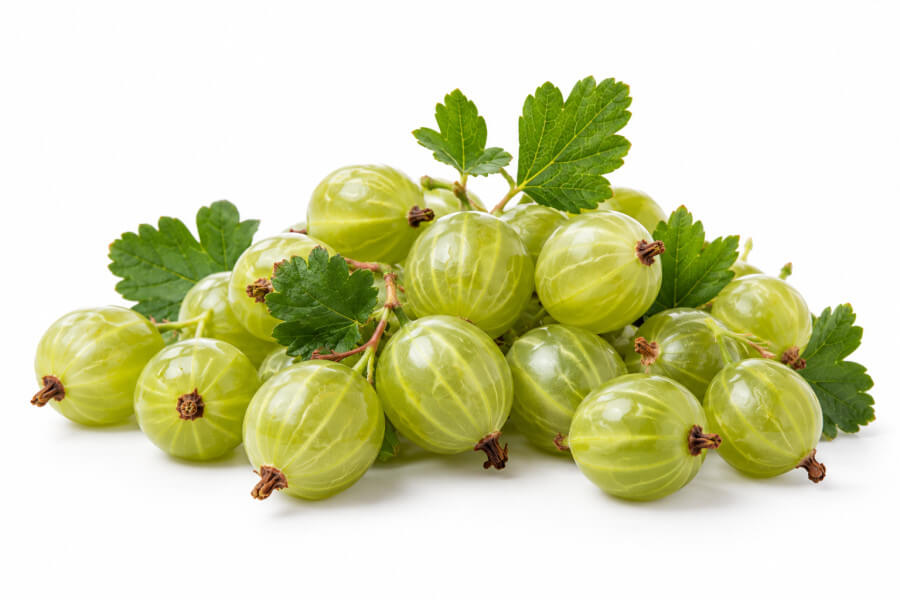 Groene Kruisbes (Hinnonmäki Invicta)