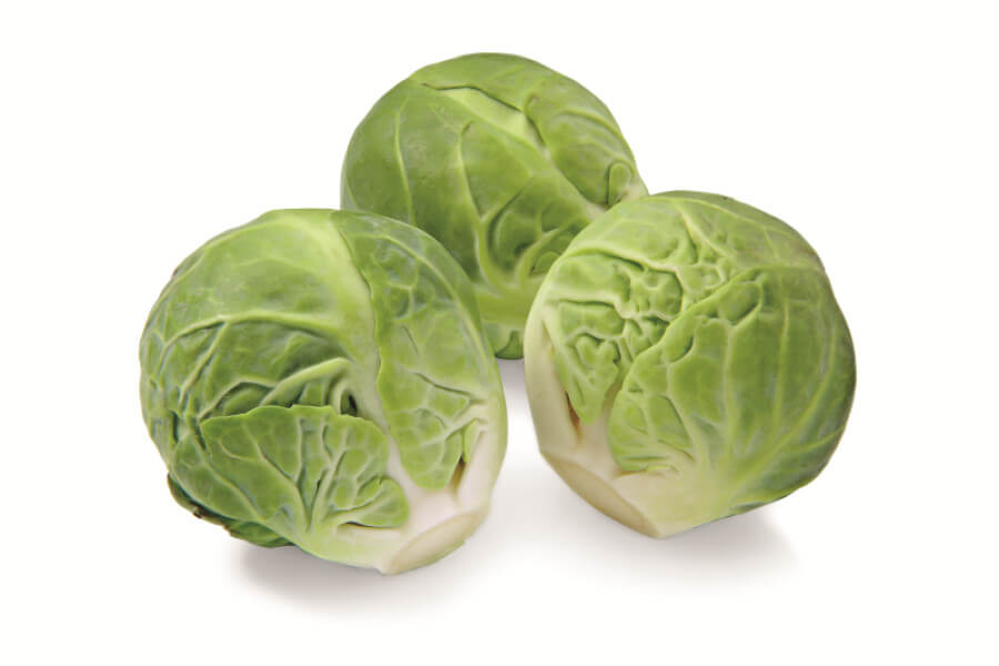 Spruitkool