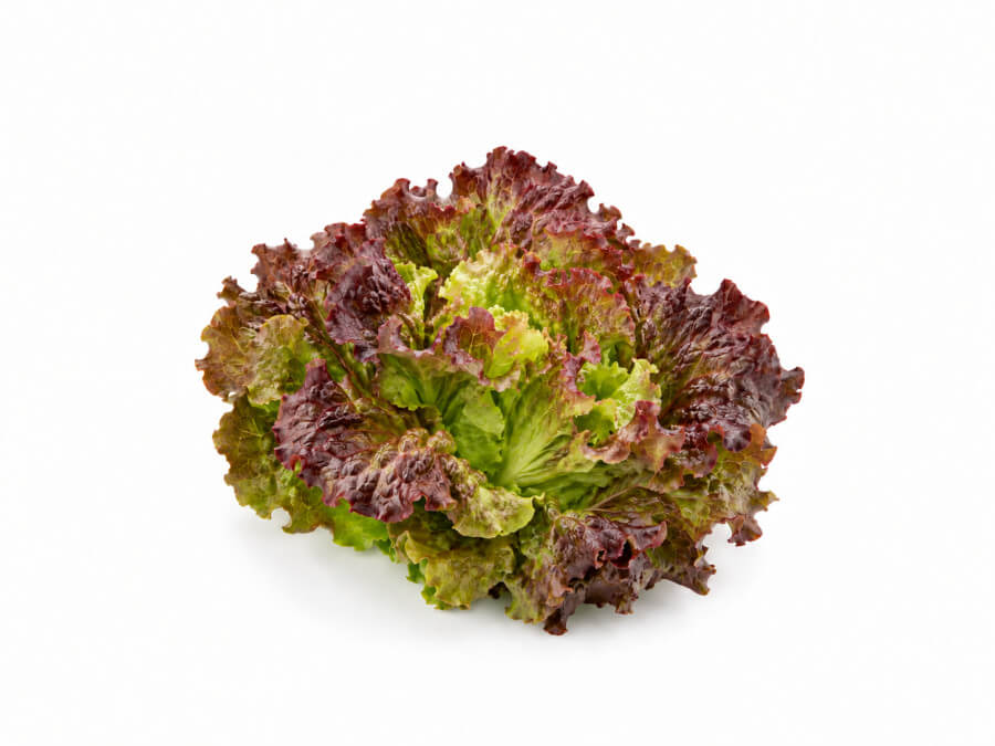 Bataviasla rood