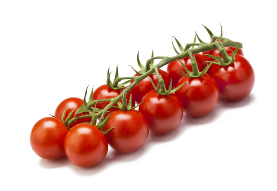 Tomaat cherry (geënt)